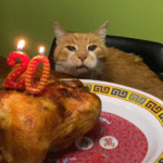 Senior Cat's Rotisserie Chicken 'Cake' Ignites Viral 20th Birthday Celebration