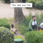 Cat's Loyal Escort for Dad Before He Heads Out Goes Viral, Touches Millions