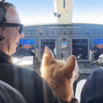 Shelter Dog's Dream Escape: 6 Years Forgotten, Then Private Jet to Vegas Luxury