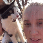 Stray Meowing Cat Leaps onto Jogger, Sparks Unlikely Friendship with Cat-Hating Corgi