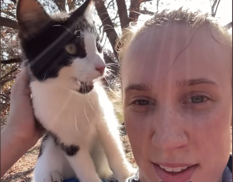 Stray Meowing Cat Leaps onto Jogger, Sparks Unlikely Friendship with Cat-Hating Corgi