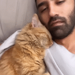 Shy Rescue Cat Kermit Wins Over the World with Loyalty to Just One Human