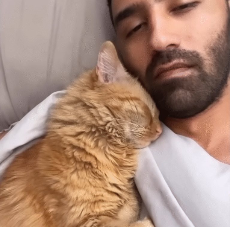 Shy Rescue Cat Kermit Wins Over the World with Loyalty to Just One Human