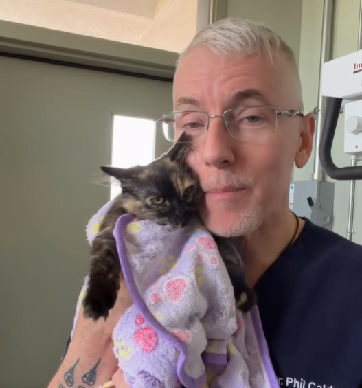 Miracle ‘Balloon Kitten’ Zoe Defies Odds After Rare Condition, Now Up for Adoption