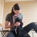 Mystery Pup with Soulful Eyes Turns Up on Stranger's Porch, Finds Instant Family