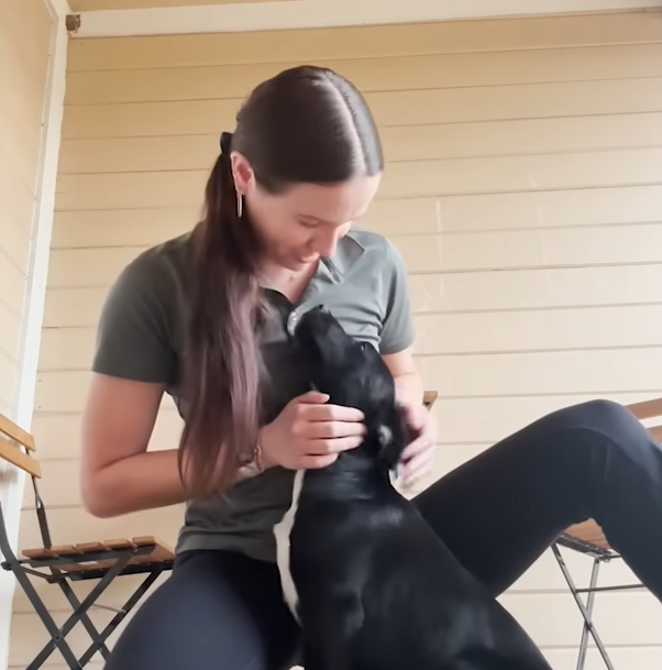 Mystery Pup with Soulful Eyes Turns Up on Stranger's Porch, Finds Instant Family
