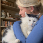 Dumped Senior Cat Poppy: From Hopeless Eyes to a Life of Love