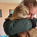 'Feral' Stray Perogi Emerges as Sanctuary's Ultimate Lovebug