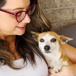 Neglected Neighbor Dog Bella Chooses Her Forever Family in Heartwarming Patio Takeover