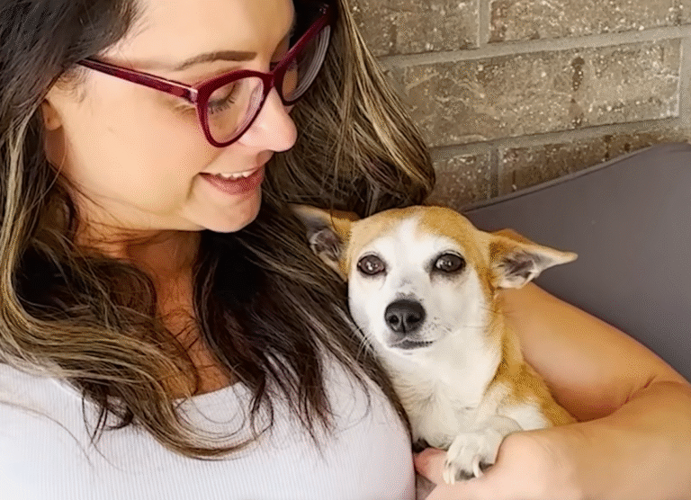 Neglected Neighbor Dog Bella Chooses Her Forever Family in Heartwarming Patio Takeover