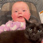 Black Cat Embraces Role as Devoted Guardian for Newborn Baby