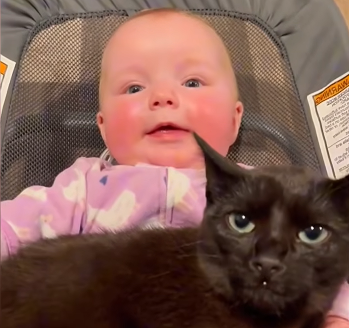 Black Cat Embraces Role as Devoted Guardian for Newborn Baby