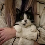 10 Ways Your Cat Says 'Thank You' Without a Single Meow