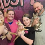 Rescued Tot Trio: Kitten Siblings Secure United Forever Home in Wisconsin