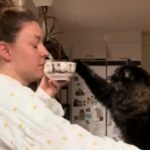 Woman Gives Kitten Leftover Milk, Faces Unexpected Problem as It Grows Up