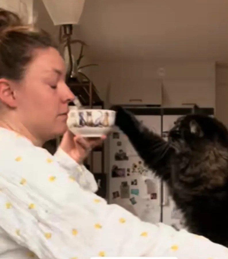 Woman Gives Kitten Leftover Milk, Faces Unexpected Problem as It Grows Up