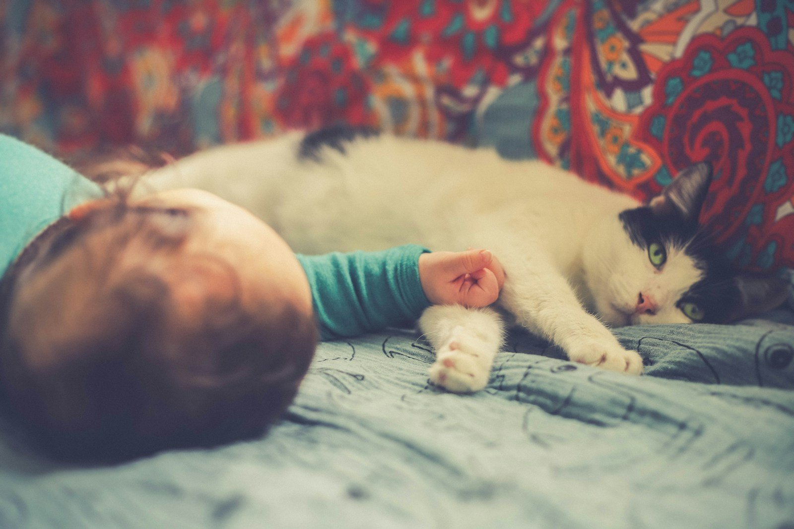 Cats Steal the Breath of Sleeping Babies 