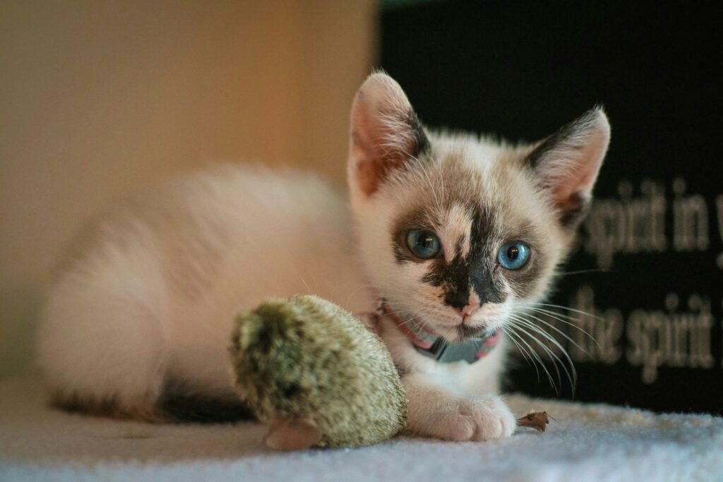 8. They Bring You Gifts