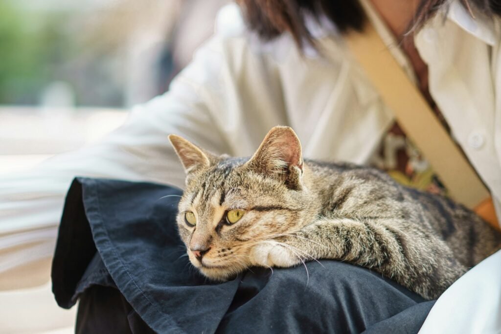 They Deposit Their Scent on You Deliberately