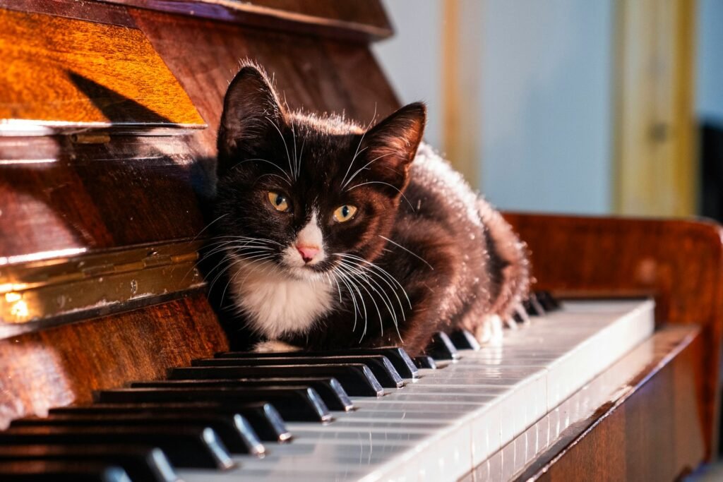 Play Calming Music or Soothing Sounds