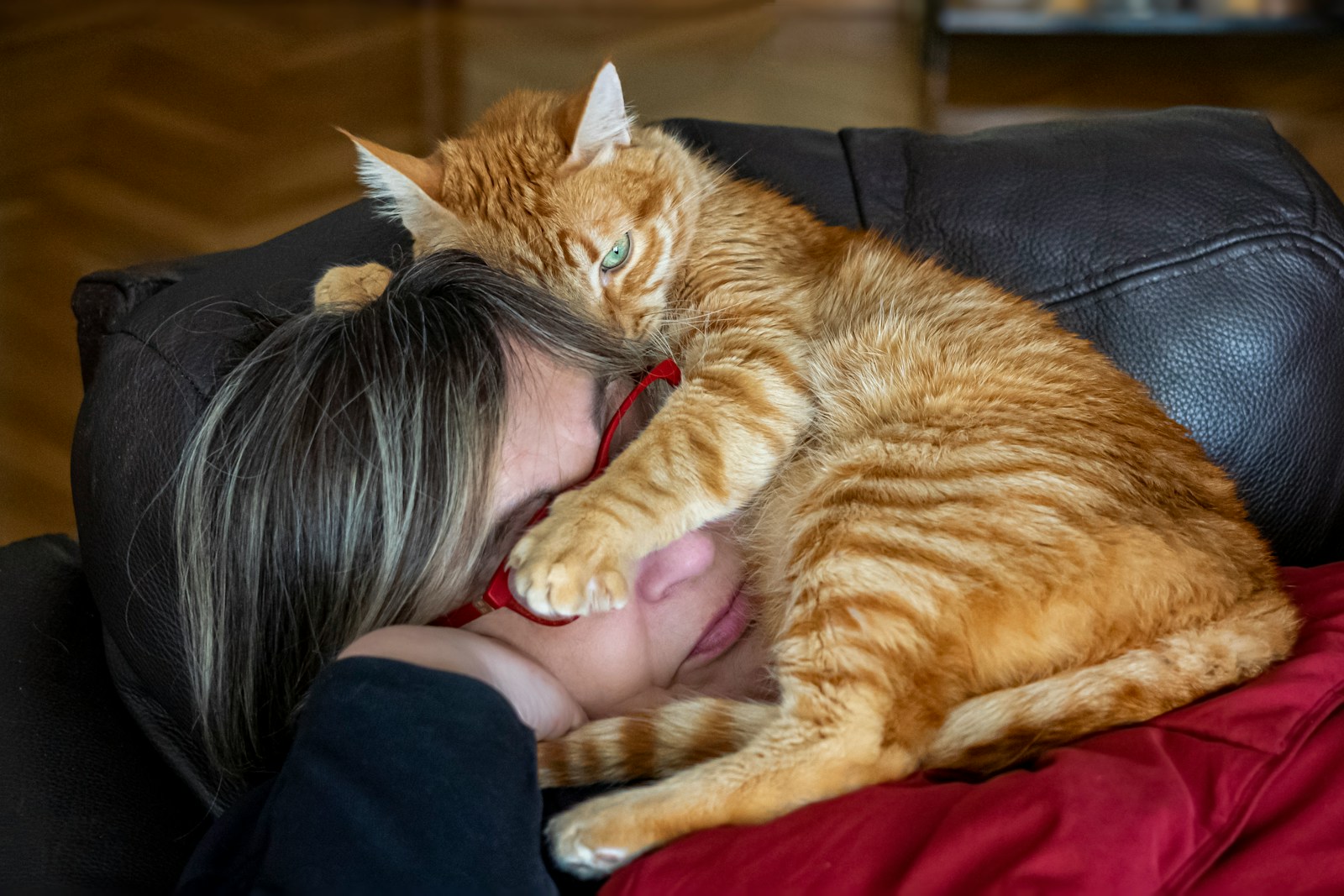 Sleeping Near a Purring Cat Can Improve Your Sleep Quality