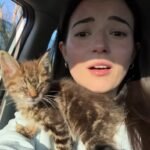 Atlanta Woman Rescues Freezing Kitten with Sealed Eyes, Leads It to Full Recovery