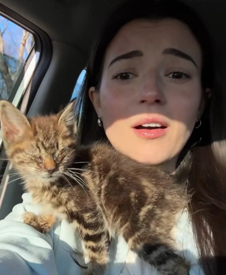 Atlanta Woman Rescues Freezing Kitten with Sealed Eyes, Leads It to Full Recovery