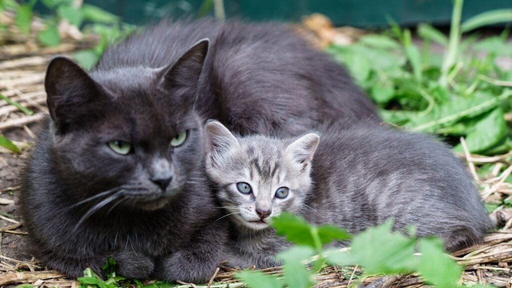 Where the Instinct Begins: Earliest Life 