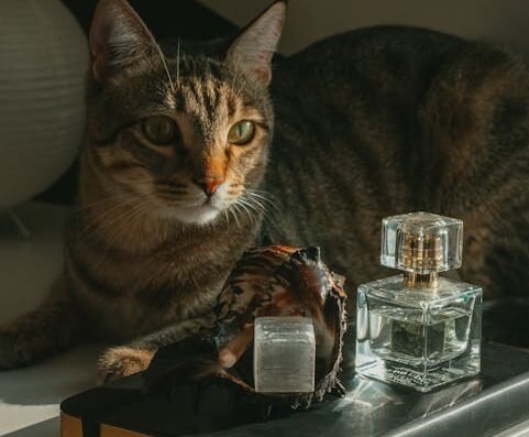 6. Overwhelming Them With Strong Scents 