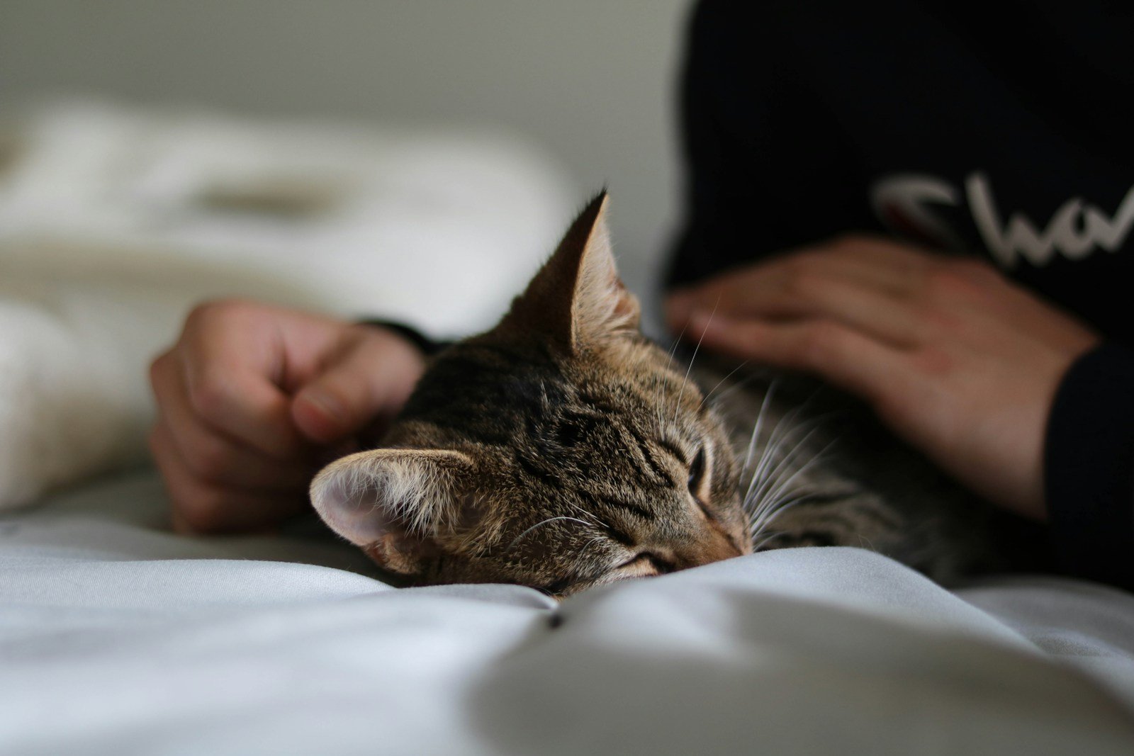 They Sleep on or Near You 