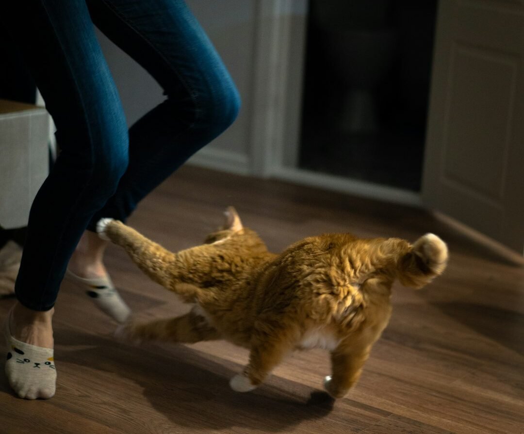 Why Moving Away Makes Things Worse