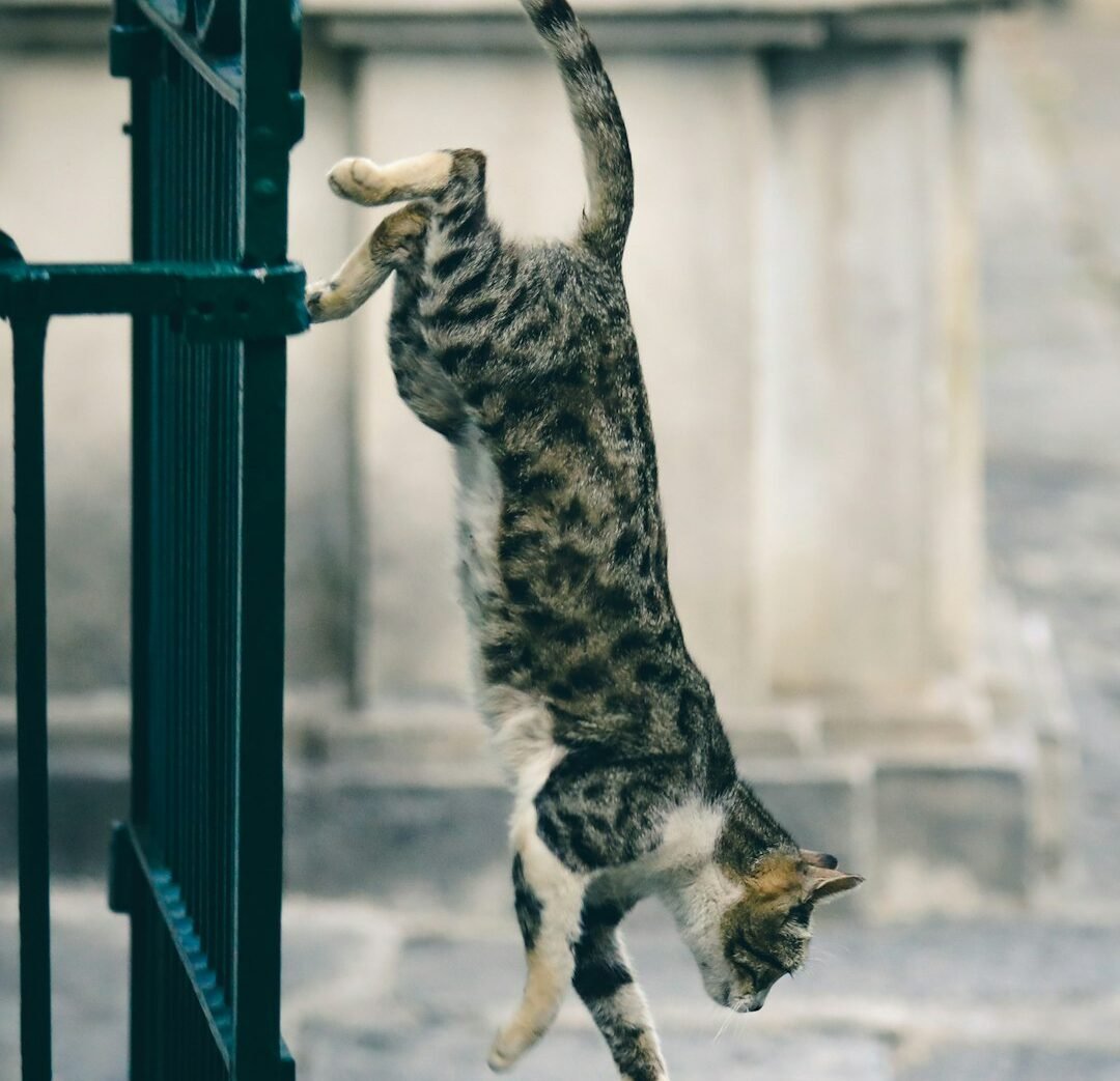 Conclusion: Remarkable, But Not Invincible