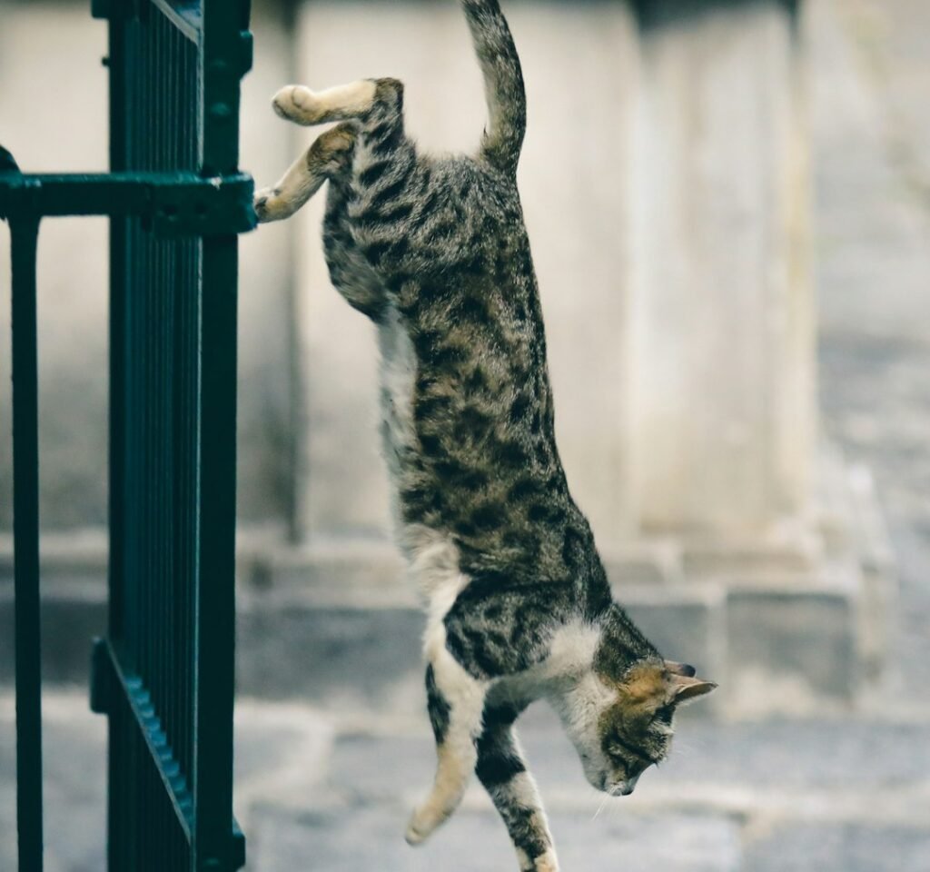 Angular Momentum and the "Bend-and-Twist" Sequence 