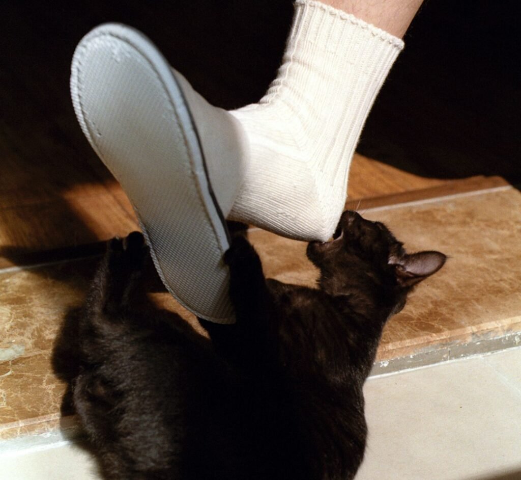 Boredom: The Silent Culprit Behind Most Ankle Attacks 