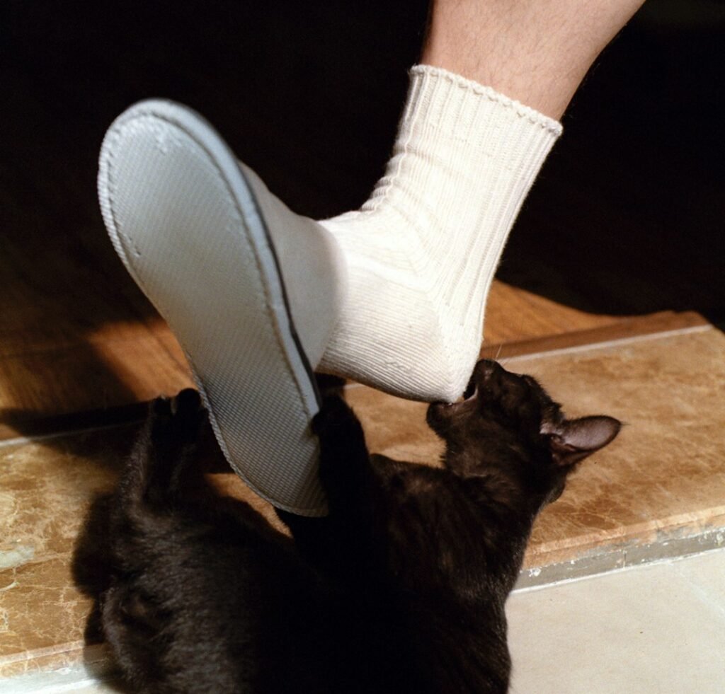 Ambushing Your Feet Is a Refined Trapping Technique