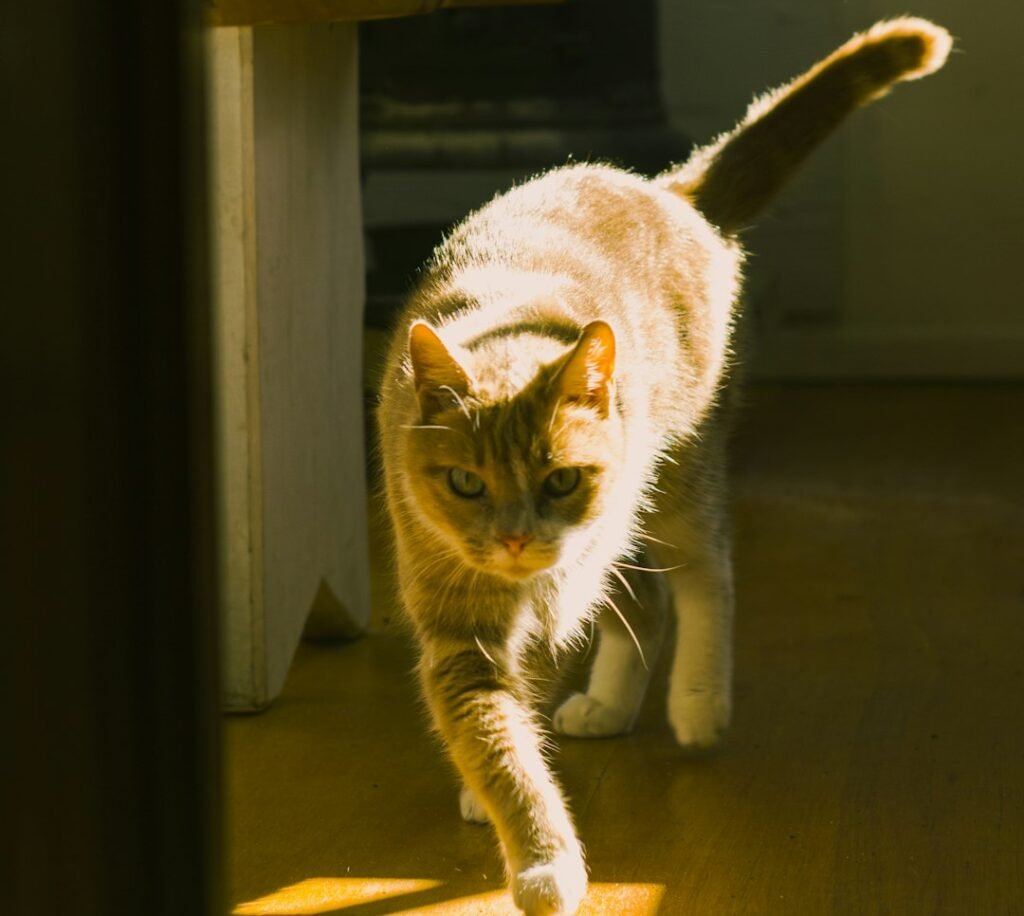 Attention-Seeking, Boredom, and the Role of Your Reaction