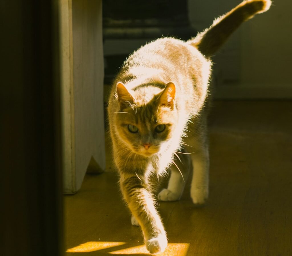 The Health Benefits You Probably Never Considered