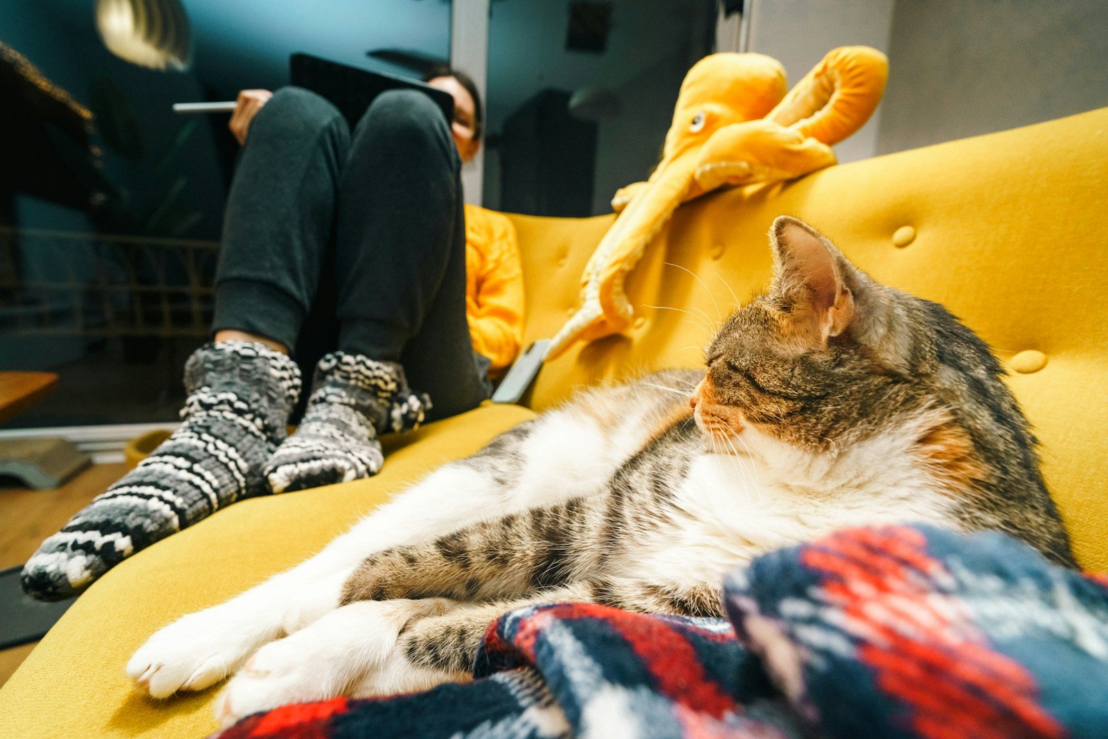 Sitting Nearby Without Making It Obvious