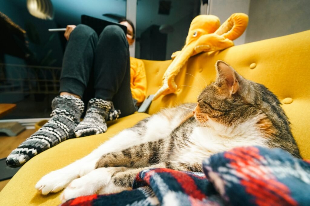 Sitting Nearby Is a Love Language All Its Own 