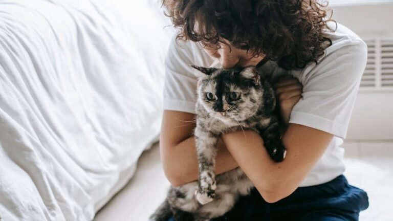 13 Things You'll Only Understand After Losing A Cat You Raised From A Kitten
