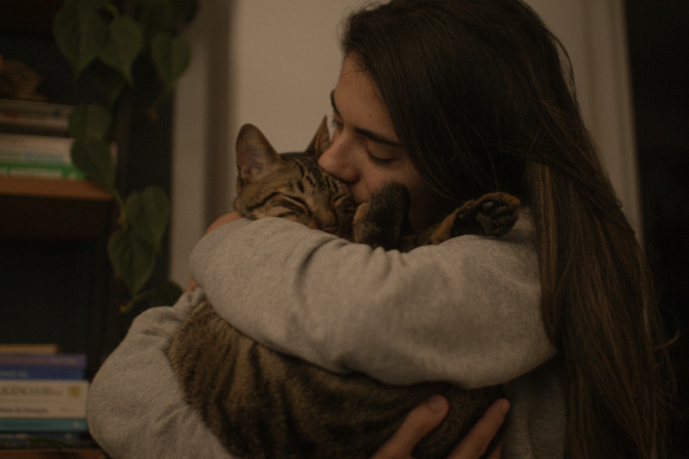 14 Ways Your Cat Tries to Comfort You on Your Hardest Days