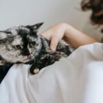 13 Tender Habits Senior Cats Keep Until the Very End
