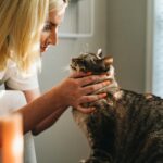 13 Quiet Things Old Cats Do When They Feel Their Age