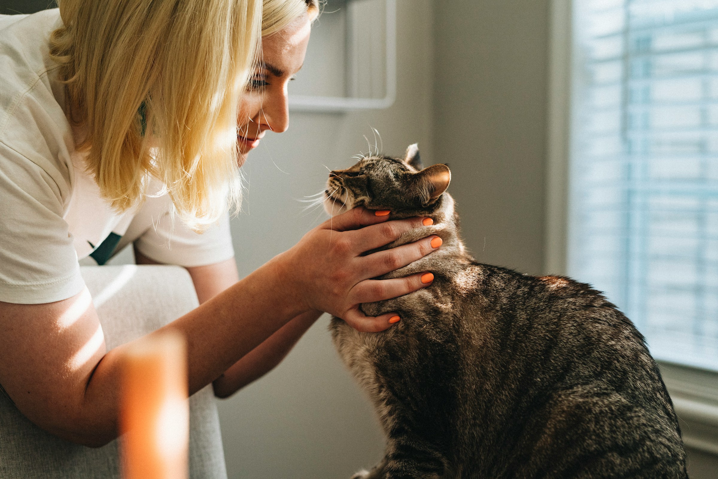 13 Quiet Things Old Cats Do When They Feel Their Age