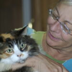 Why Do Some Cats Choose the Mom of the House as Their Favorite Person?