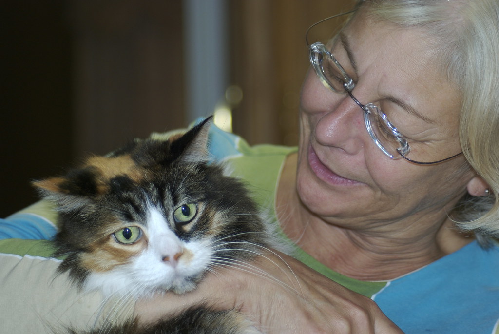 Why Do Some Cats Choose the Mom of the House as Their Favorite Person?