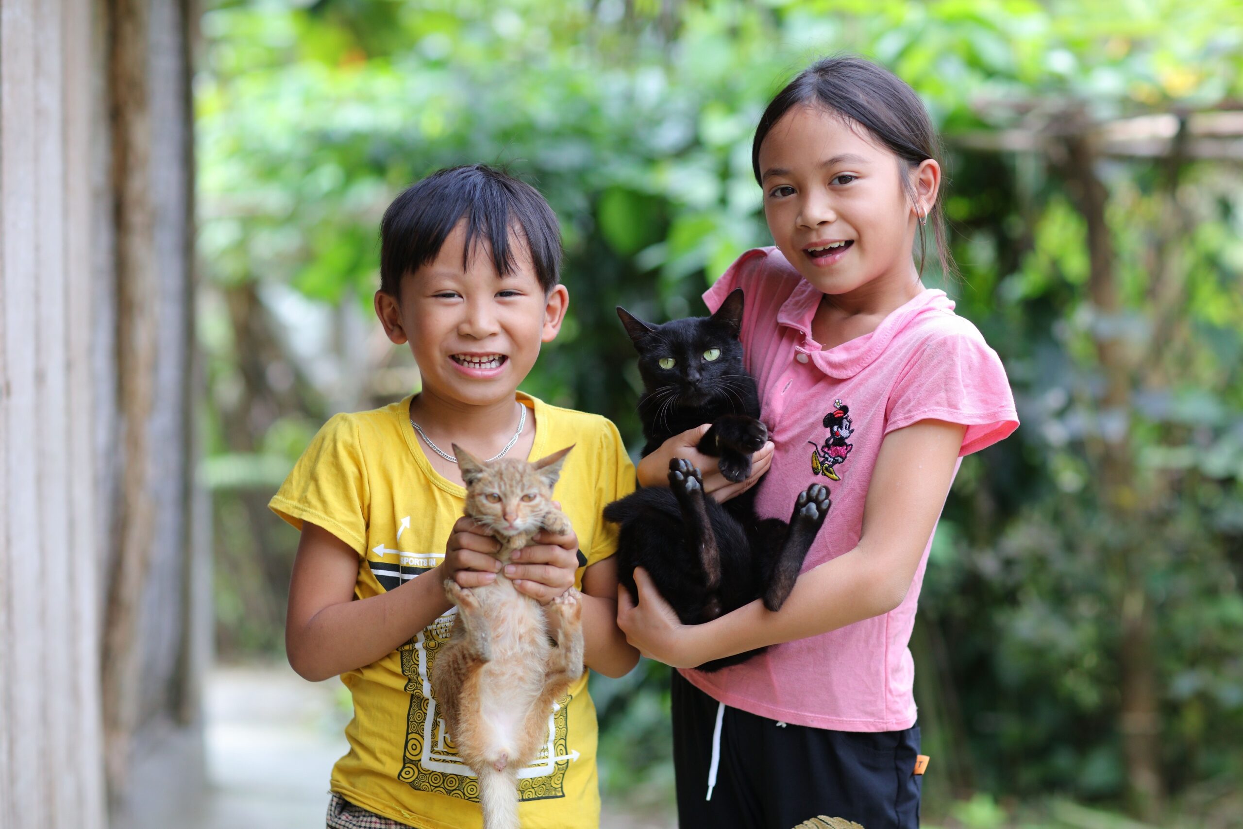 Is Your Child Really Ready for a Cat? The Signs Parents Should Consider