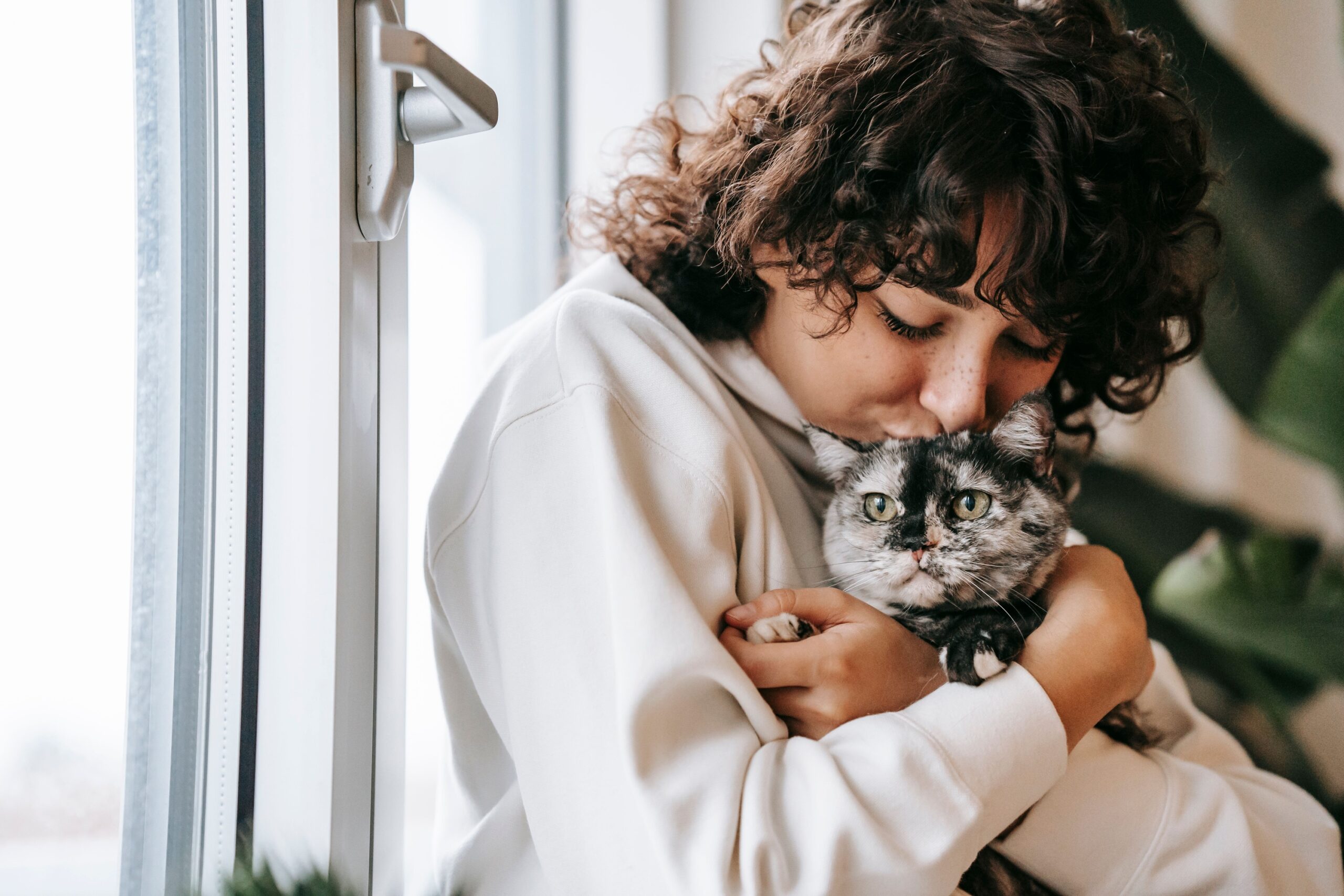 10 Ways You're Losing Your Cat's Trust Without Knowing It