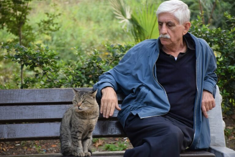 8 Cat Breeds That Make Ideal Companions For People Over 60