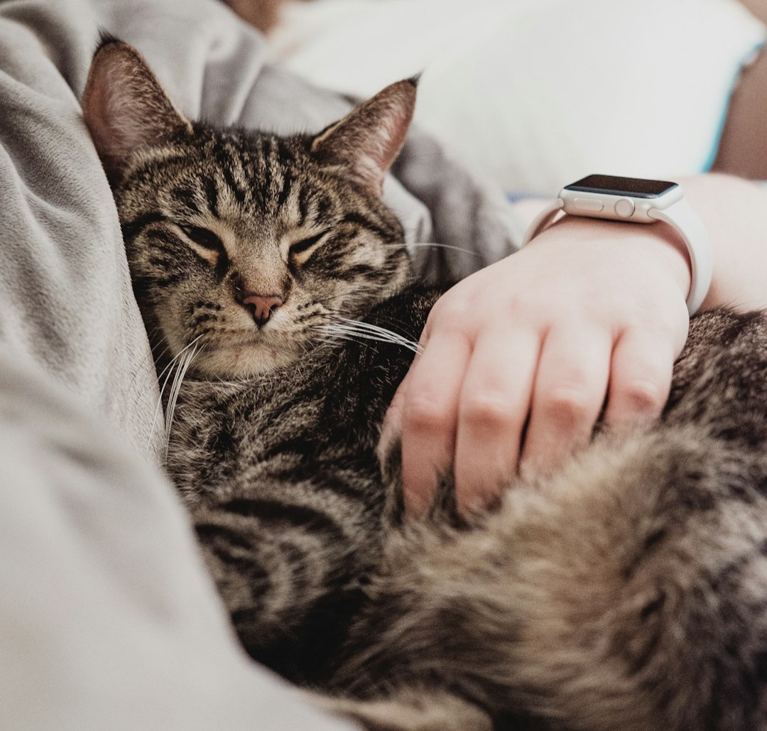Feline Psychology Says Cats Who Sleep Beside the Same Person Every Night May Be Revealing More Than Simple Affection